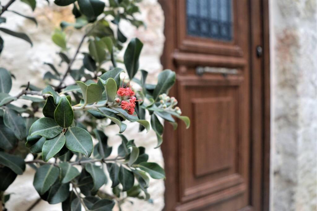 Malama's Maisonette At The Historic Center Appartement *